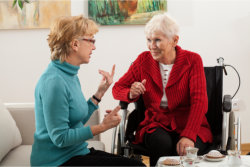 an elderly in a wheelchair talking to her companion